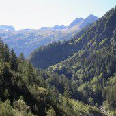 83 Weiße Zonen um die Natur zu schützen