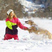 Der Winter kam mit Kälte, Eis und Schnee