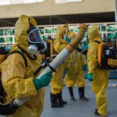 Armee soll nun das Zika-Virus bekämpfen