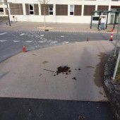 Ärger über Pferdemist auf Lauterachs Wegen
