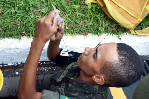 Auch in Brasilien hilft das Militär beim Kampf gegen Zika. Hier sucht ein Soldat nach Larven der Überträger-Mücke.