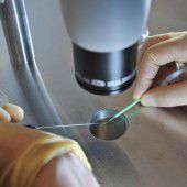 Briten geben Okay für Embryo-Genversuche