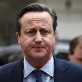 Streit um Reformen für Cameron