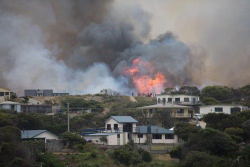 Die Buschbrände bedrohten die Wälder von Tasmanien. 95.000 Hektar Land sind bereits verbrannt.