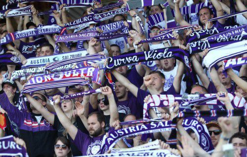 Elias Kircher (rechts) fühlt sich bei Austria Salzburg wohl und liebt vor allem die Hingabe der Fans der Violetten.
