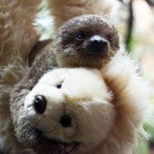Kuscheln mit dem Teddy