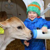 Viel gute Milch für den großen Durst