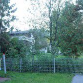 Affäre um abgesägte Hecke nimmt kein Ende