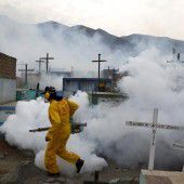 Zika-Virus verursacht Gesundheitsnotstand