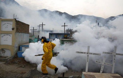 Mit allen Mitteln und überall wird an der Bekämpfung der Überträger­mücken des Zika-Virus gearbeitet.