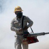 USA: Zika-Virus wurde beim Sex übertragen