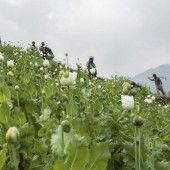 Mit der Machete gegen das Opium  in Myanmar