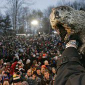 Punxsutawney feiert den Murmeltiertag