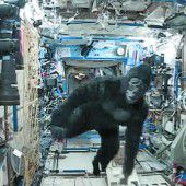 Im Affenkostüm durch die ISS