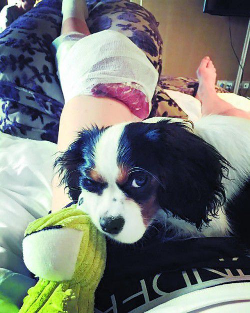 Vonns Knie ist lädiert, Hund Lucy gibt Trost.