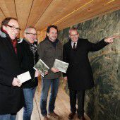 Ideen für Montafonerbahn