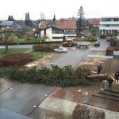 Gemeindeamt in Lochau zieht um