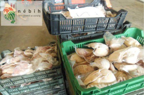 Billiges Entenfleisch wurde von Händlern aus Ungarn als teure Gänseleber angeboten.