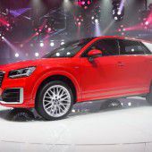 Nachwuchs in der Q-Familie von Audi