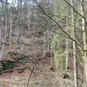 Nach dem Absturz fünf Stunden verletzt im Wald