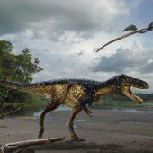 Forscher präsentieren neuen Vorfahren des T-Rex