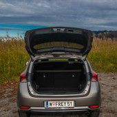 Aufrichtige Alltagsalternative Auris
