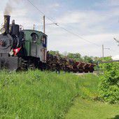 Mäder will Rheinbahn für Rhesi