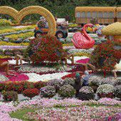 Blumen-Park in Dubai