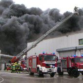 Großbrand auf deutschem Geflügelhof