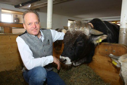 „Ich bin ganz bestimmt kein Marketingbauer“: Stefan Muxel mit seinem Stier „Gustav“.   