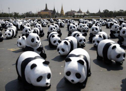 Mit dem Projekt soll auf den schwindenden Lebensraum der Pandas aufmerksam gemacht werden.