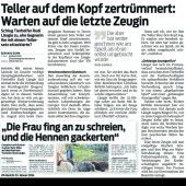 Geldstrafe für Tellerattacke