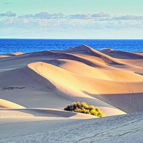 Wie in der Sahara fühlt man sich auf den Dünen von Maspalomas.