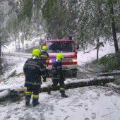 Schneechaos richtete großen Schaden an