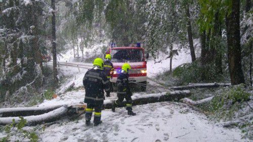 Aufräumarbeiten im Bezirk Deutschlandsberg: Die Einsatzkräfte der Feuerwehr standen nach den heftigen Schneefällen im Dauereinsatz.