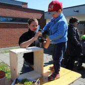Kinder bauten Nützlingshotels im Kindergarten