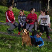 Singende Zaungäste mit Hund
