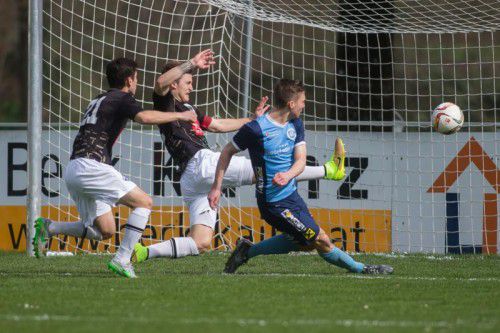 Fußball, Regionalliga West, 20. Spieltag, FC Hard - Wacker Innsbruck Amateure, Tor zum 1:0.