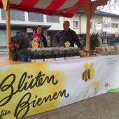 Imker verkaufen Pflanzen, die Bienen ernähren