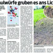 Neos erheben in Causa Häusle Vorwürfe gegen BH Dornbirn