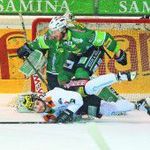 Matchpuck für die Wälder