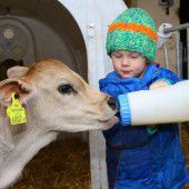 Tierhalter fordern kurze Wege sowie angst- und schmerzfreie Schlachtung