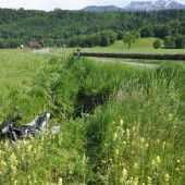 In die Wiese gestürzt