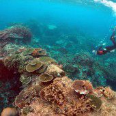 Australien lässt sich aus Klimabericht streichen