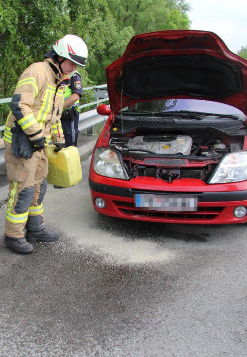 Die Feuerwehr musste keinen Brand löschen, aber mit Bindemitteln den Pannenstreifen reinigen.