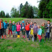 Von A wie Ackerbau bis Z wie Zauberblümchen