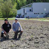 Reichenfeld in Feldkirch wird Blumenwiese