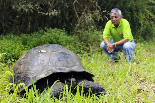 Eine neue Art der Riesenschildkröte wurde in Ecuador entdeckt.