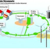 Smart Grid – auch gegen den Strom