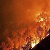Waldbrände in Indien und Nepal fordern 17 Tote